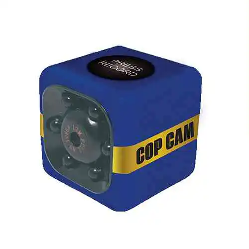 Motion-activated security camera records - Image 4