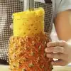 Pineapple Slicer