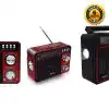 Den-b FM RadioMusic Player with LED Torch