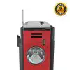 Den-b FM RadioMusic Player with LED Torch