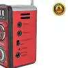 Den-b FM RadioMusic Player with LED Torch