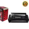Den-b FM RadioMusic Player with LED Torch