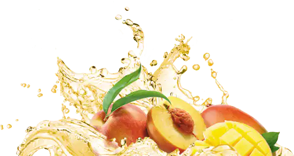 fruit splash png  x