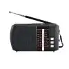 ASTRO Portable FM Radio with USB SD Card support