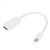 Mini DisplayPort To HDMI Adapter Cable