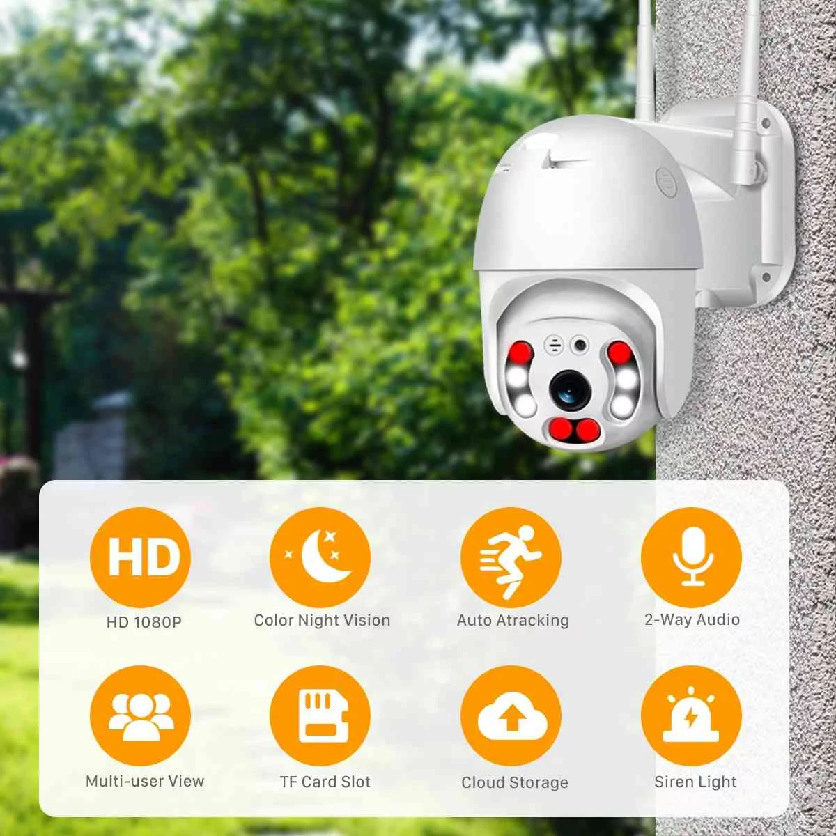 IP Camera