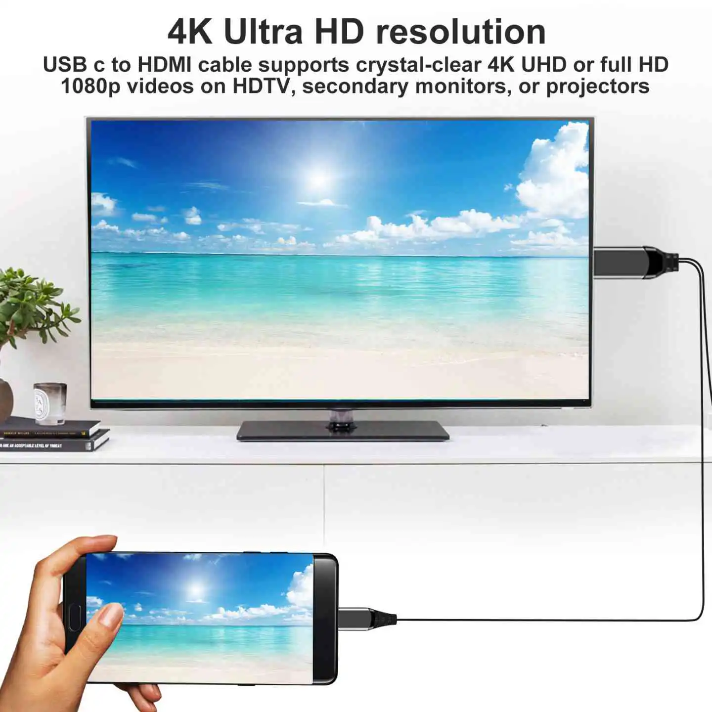 USB C to HDMI Cable