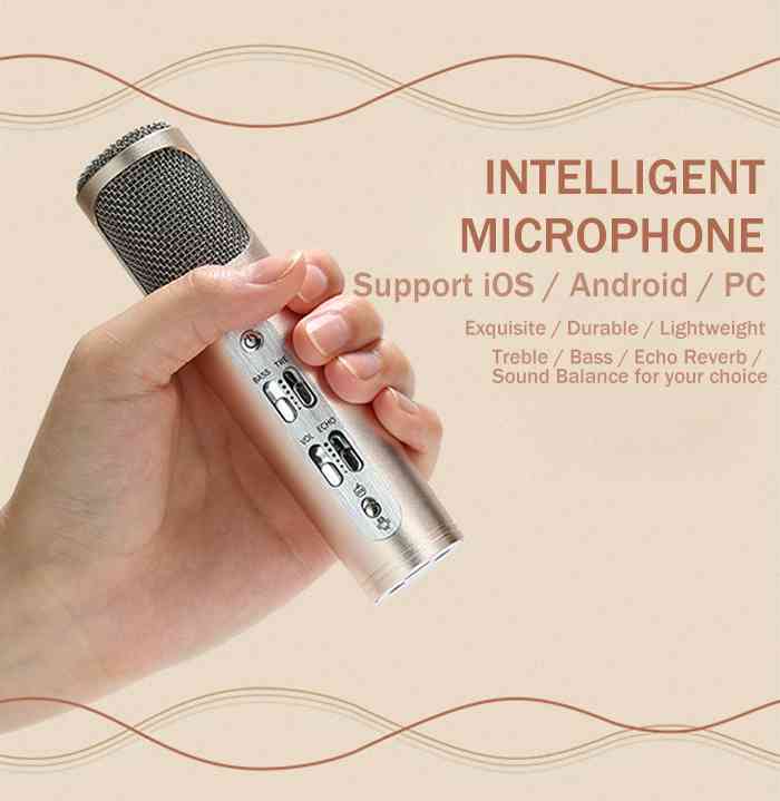 Noise Canceling Microphone