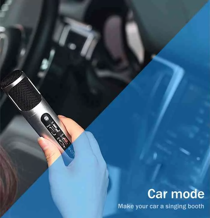 Noise Canceling Microphone