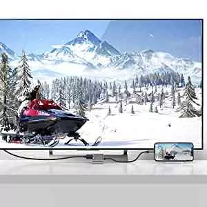 USB C to HDMI VGA Adapter