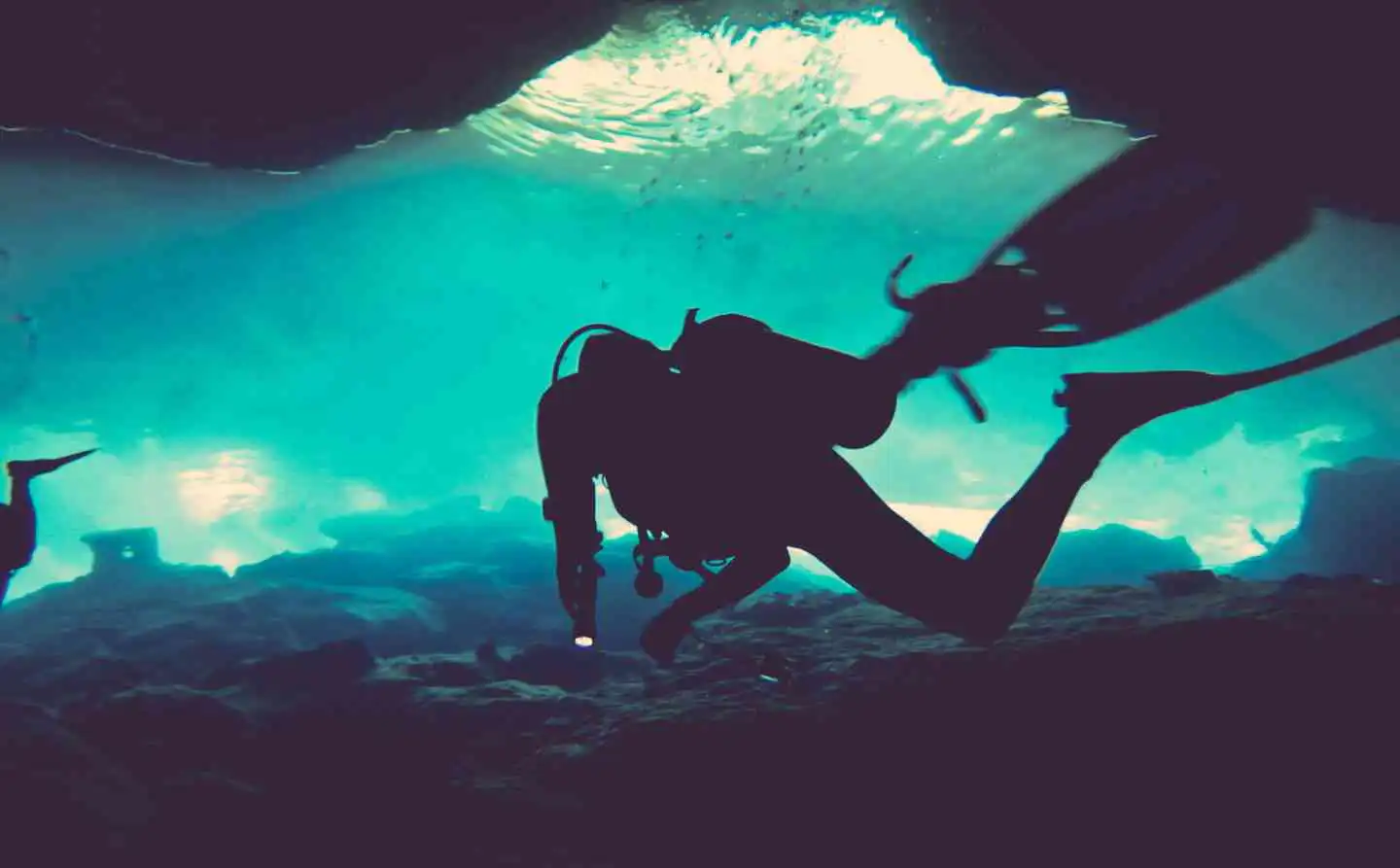 Waterproof Diving Torch Underwater Colombo Sri Lanka | ido.lk