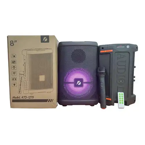 Karaoke Bluetooth Speaker with Wireless Microphone and Remote @ido.lk