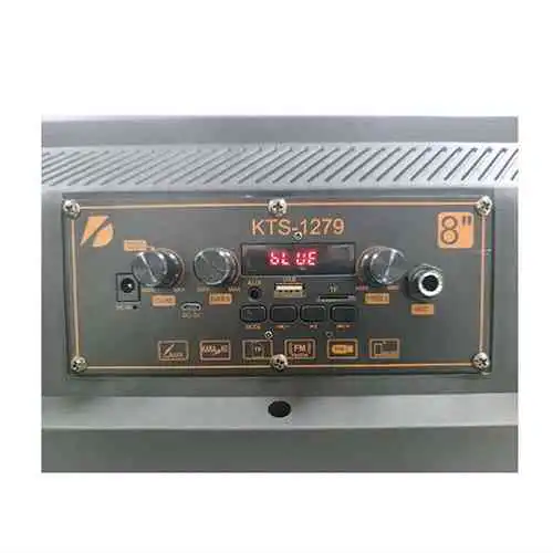 Karaoke Bluetooth Speaker with Wireless Microphone and Remote@ ido.lk