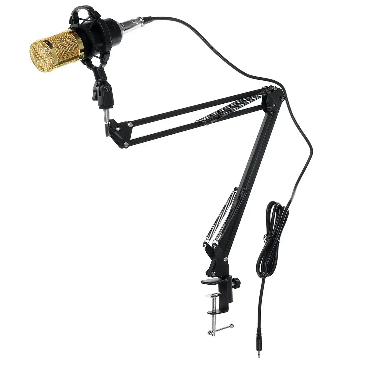 Professional Condenser Microphone with V8 Soundcard in Sri Lanka | ido.lk
