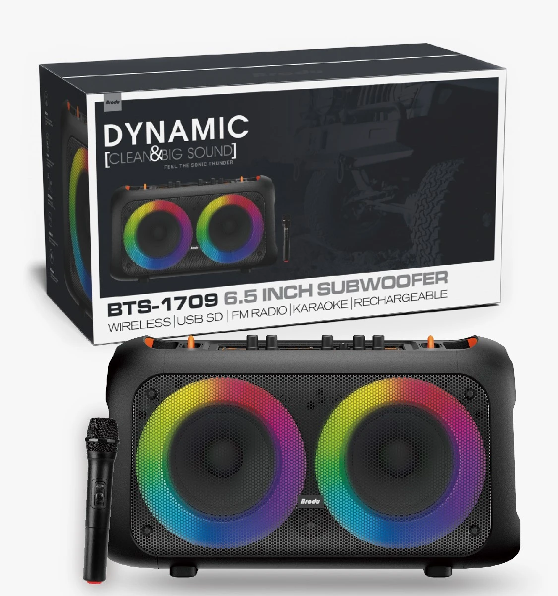 Brodu BTS-1709 Bluetooth Karaoke Speaker Rechargeable Party Speaker Best Price in SriLanka | ido.lk