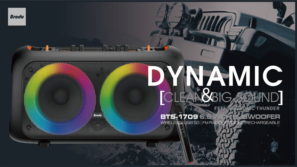 Brodu BTS-1709 Bluetooth Karaoke Speaker Rechargeable Party Speaker Best Price in SriLanka | ido.lk