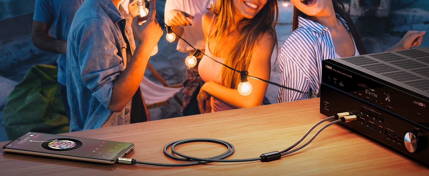 UGREEN 3.5mm to Dual 6.35mm Stereo Audio Cable 2M 10615 in Sri Lanka | ido.lk