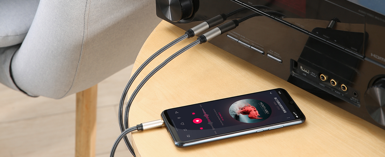 UGREEN 3.5mm to Dual 6.35mm Stereo Audio Cable 2M 10615 in Sri Lanka | ido.lk