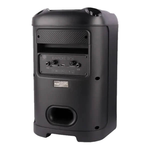 Brodu BTS 2103 Bluetooth Karaoke Speaker @ido.lk