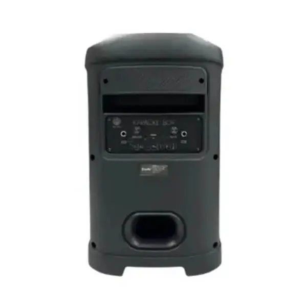 Brodu BTS 2105 Bluetooth Karaoke Speaker @ido.lk