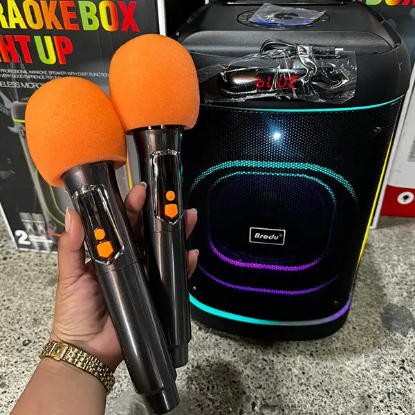Brodu BTS 2105 Bluetooth Karaoke Speaker Sri Lanka @ido.lk