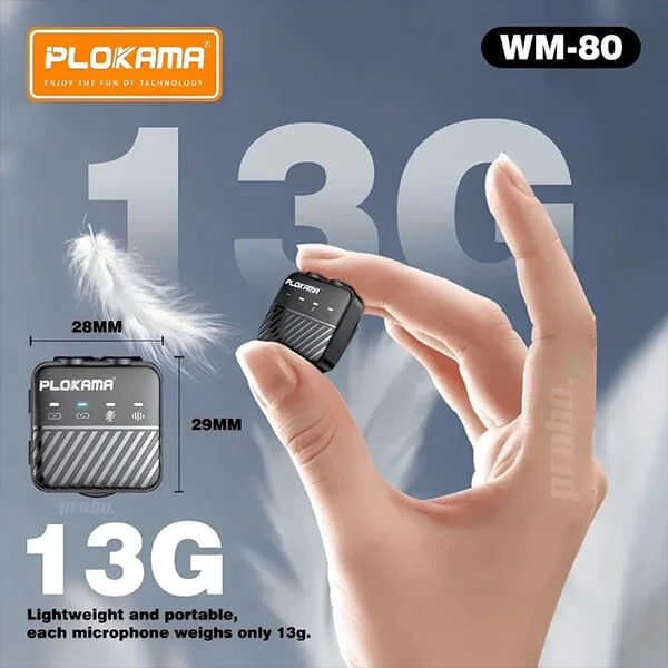 Plokama WM 80 Dual Wireless Microphone with Handheld Stick @ ido.lk